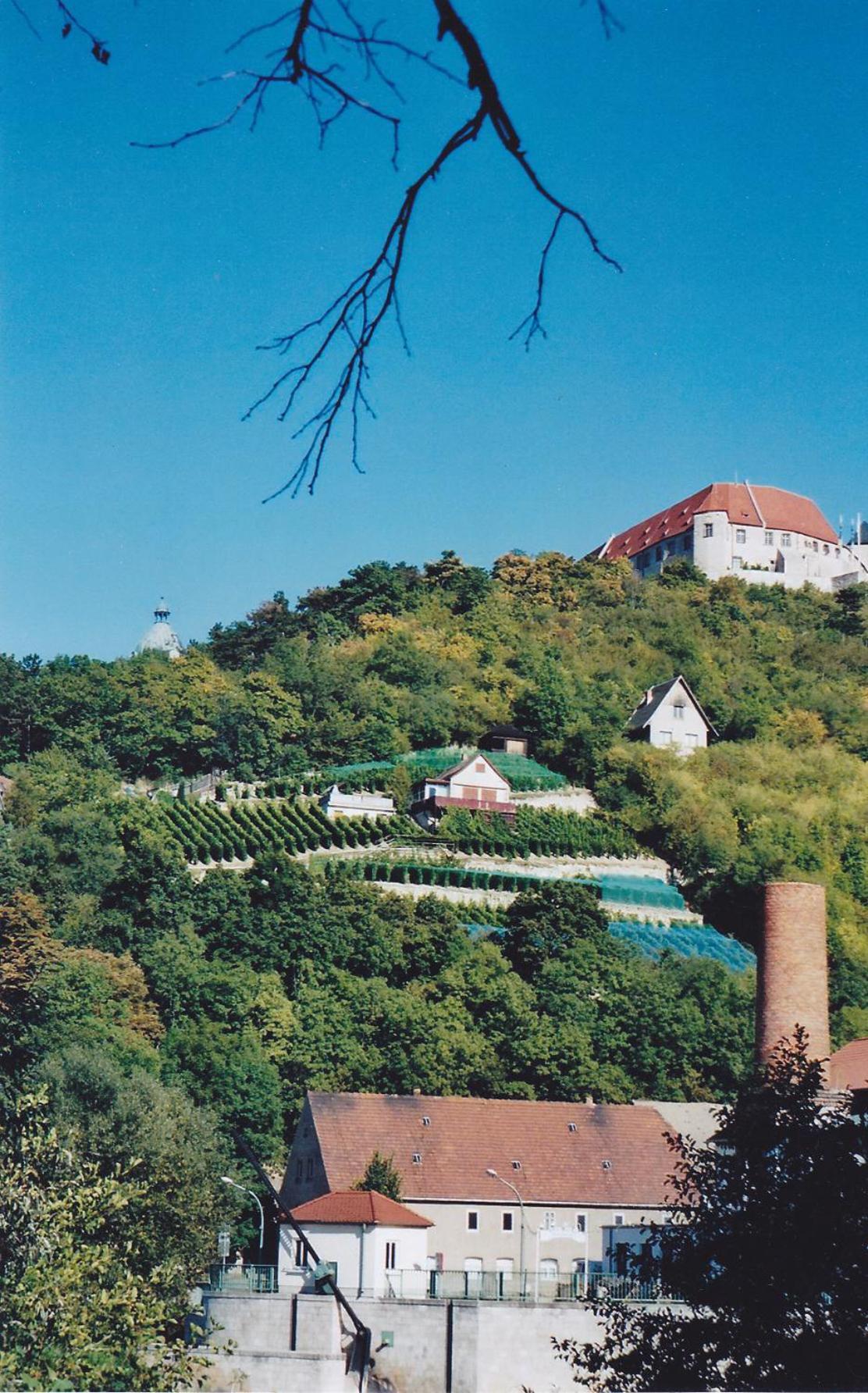 Hotel Garni Zum Rebstock Naumburg  Exterior foto